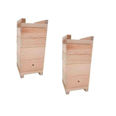 Imagem de Kit 2 Caixas Impa Abelhas Sem Ferrão Eucalipto 10X10