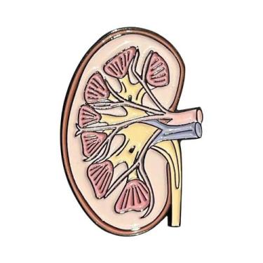 Imagem de Broche Esmaltado de Anatomia Renal - Joia Médica para Médicos e Enferm