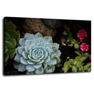 Imagem de 1126 Succulent Poster Plant Canvas Prints Nature Wall Art For Home 1 painéis Decorações com moldura 76.2 cm x 50.8 cm
