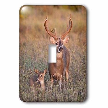 Imagem de 3dRose lsp_191375_1 Deer Macho e Fawn in Habitat, Texas, EUA