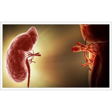 Imagem de Quadro Decorativo Medicina Médicos Consultórios Salas Moldura Branca Q