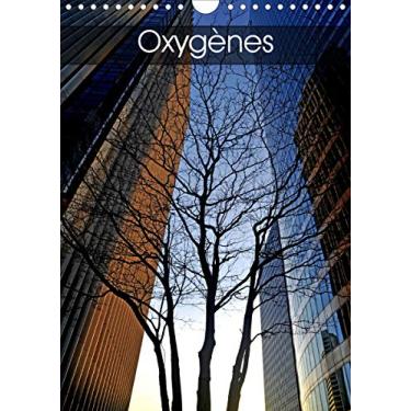 Imagem de Oxygènes (Calendrier mural 2021 DIN A4 vertical): La présence des arbres dans paysages urbains (Calendrier mensuel, 14 Pages)