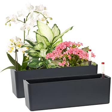 Imagem de GardenBasix Vasos De Plantador Autoirrigáveis Alongados, Pacote Com 2 Caixas De Janela, 5,5 X 16 Polegadas, Vaso Decorativo Moderno Para Jardim Doméstico Interno Para Todas As Plantas, Flores E Erva