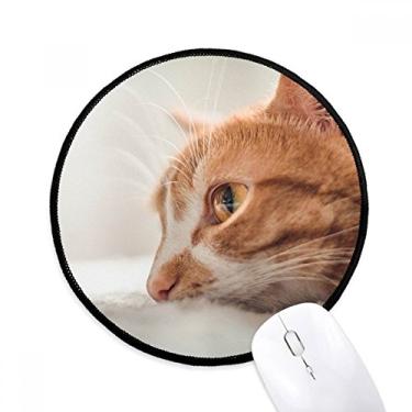 Imagem de Animal Puro Gato Fotografia Imagem Mouse Pad Desktop Escritório Tapete Redondo para Computador