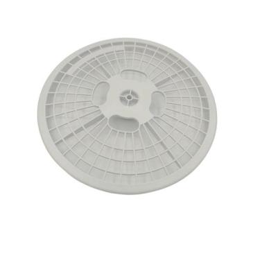 Imagem de Alojamento Filtro Secadora Electrolux SVP10 e SVP11, Electrolux