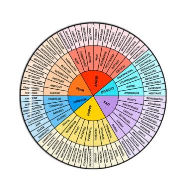 Imagem de Feelings Wheel Grande 30,5 cm, Tabela de rodas de emoção de acrílico para conselheiro escolar de terapia, assistente social, decoração de escritório de aconselhamento