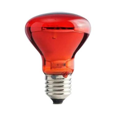 Imagem de Lâmpada De Aquecimento Infravermelha E27 25W-100W Para Aves, Répteis, 