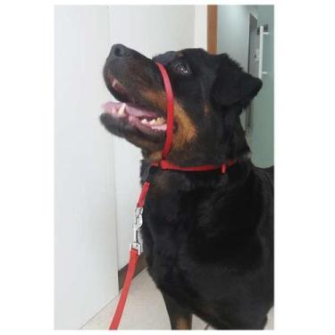 Imagem de Coleira K-9 Spirit Cabresto Vermelha