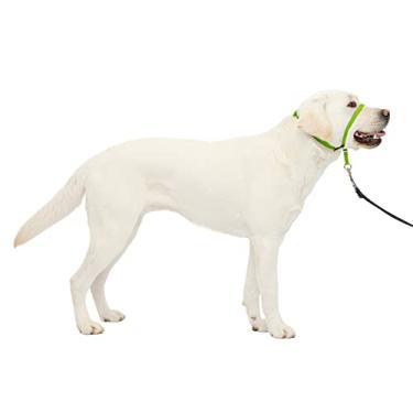 Imagem de PetSafe Coleira de cabeça para cães Gentle Leader - A melhor solução para puxar - Redireciona a puxão do seu cão para caminhadas mais fáceis - Ajuda você a recuperar o controle - Grande, verde maçã