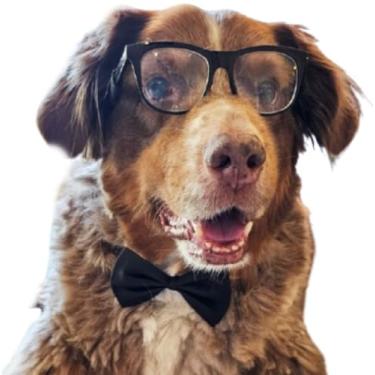 Imagem de C12 Conjunto de óculos retrô para fantasia de cachorro + gravata borboleta ajustável para raça média, aproximadamente 8 a 18 kg, acessório de festa cosplay sessão de fotos (preto dos anos 80 + gravata