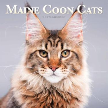 Imagem de Calendário Maine Coon Cats 2026