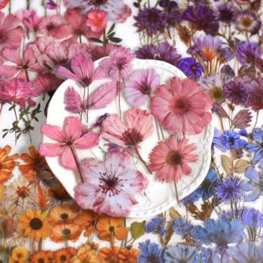 Imagem de 50 adesivos florais para álbuns, PET transparente com acentos, decalques de flores vibrantes, tipos de pétalas de cores sortidas, adesivos de scrapbook, acessórios de diário (rosa)