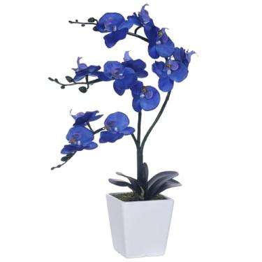 Imagem de YSZL Arranjos de flores de orquídea Phalaenopsis de seda artificial de 38 cm de altura (azul marinho)