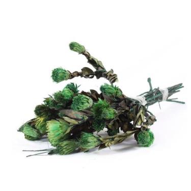 Imagem de Arapurama Desidratado Buque Flores Secas - Pense Flores, Verde