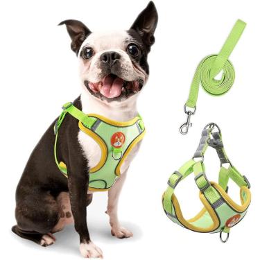 Imagem de Coleira Peitoral com Guia OEM para Cachorro Pequeno e Médio em Poliéster Verde com Linhas Reflexivas Kit 2 Peças