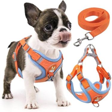 Imagem de Coleira Peitoral coleira para cachorro com guia para pet pequenos e médios colete confortável (azul,XL)