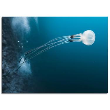 Imagem de Impressão em tela de mergulho 912 água-viva pôster arte de parede para casa 1 peça decorações não ramificadas 25,4 x 20,3 cm