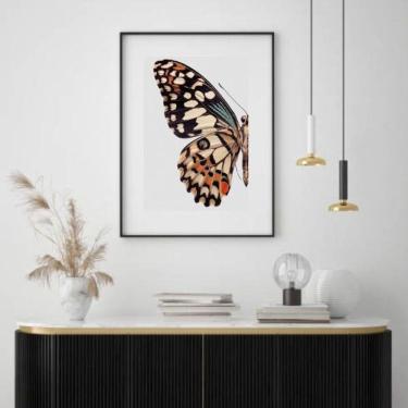 Imagem de Quadro Borboleta - Asa Colorida - 60X48Cm