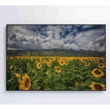 Imagem de Quadro Campo De Girassóis Medidas 120x80 Cm Impressão Vidro Acrílico