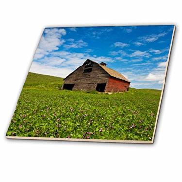 Imagem de 3dRose EUA, estado de Washington, Palouse. Celeiro vermelho no campo de grão de bico, Pr. - Azulejo de cerâmica, 20 polegadas (ct_209608_3)