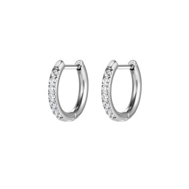 Imagem de AOEDEJ G23 Brincos de argola de titânio preto/aço cinza/dourado 18 G, pequenos brincos de argola de 8 mm/10 mm/12 mm, cartilagem para orelhas sensíveis para piercing múltiplo, cartilagem, argola