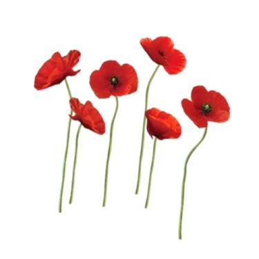 Imagem de IEUDNS Adesivo de parede com flor vermelha, decoração floral, removível, autoadesivo e adesivo para salas de estar e escritórios