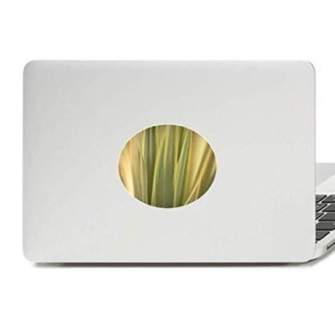 Imagem de Adesivo de notebook com emblema de vinil para fotos da natureza com folhas de plantas