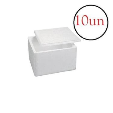 Imagem de Caixa Isopor Térmica 1Kg Gelo Alimento Medicamento- Kit 10Un - Isoterm