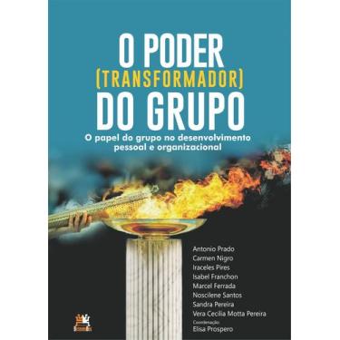 Imagem de Livro - O poder transformador do grupo