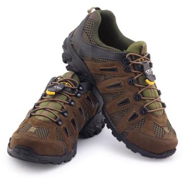 tenis bull terrier dragon 2