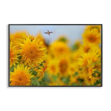 Imagem de Stupell Industries Beija-flor feliz e girassóis preto emoldurado giclée design de arte por Carrie Ann Grippo-Pike, 12 x 18