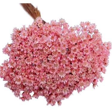Imagem de Buquê de 300 Flores Secas Sempre Viva Mosquitinho – Mini Florzinhas Naturais para Arranjos e Decoração(ROSA CL)