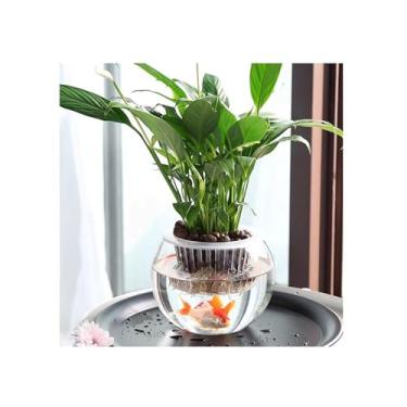 Imagem de Vasos de plantas Vaso hidropônico planta vaso de vidro transparente água peixe recipiente verde pote interior(Pequeno)