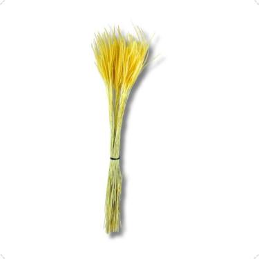 Imagem de Capim Carrapatinho Ourinho Alvejado Desidratado Buque Flores Secas - F