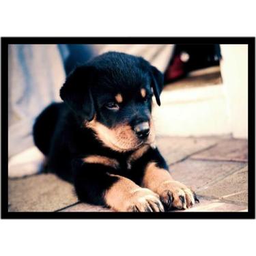 Imagem de Quadro Decorativo Animais Cachorros Rottweiler Veterinário Pet Shop Na