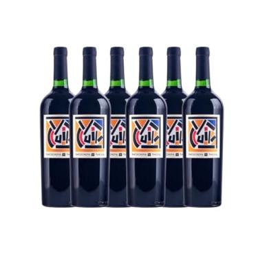 Imagem de Vinho Argentino Yacochuya Tacuil (Michel Rolland) 750 mL CX/6