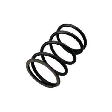 Imagem de Mola Válvula Para Motor á Gasolina 5.5/6.5/6.0hp Branco