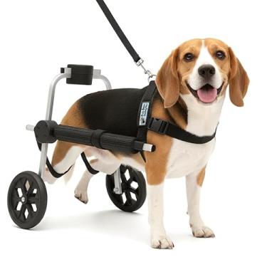 Imagem de Cadeira de 2 Rodas Para Cachorro Tam M Regulável Pata Traseira Paraplegia Reabilitação Paralisia Idoso Pet Best Soluções