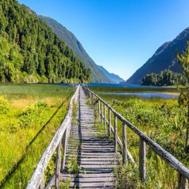 Imagem de Quadro Decorativo Natureza e Ponte de Madeira - Arte Landscape para Sala e Escritório Tamanho 40x40cm