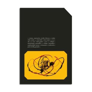 Imagem de Psicanálise E Amefricanidade