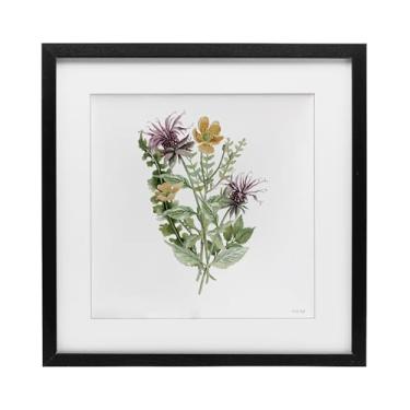 Imagem de Stupell Industries Impressão emoldurada Lush Botanical Mix preta sob vidro, design de Cindy Jacobs, 40,6 x 40,6 cm