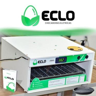 Imagem de Chocadeira Automática 110 Ovos De Galinha Com Ovoscopio 110V - Eclo