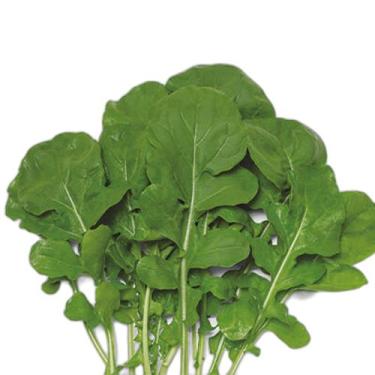 Imagem de Semente Hortaliça/Verdura/Especiaria monte seu kit personalizado - Alp