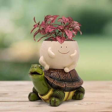 Imagem de Toparad Vaso de suculentas Smily Face, vasos engraçados de tartaruga auto-irrigáveis, estátua de tartaruga para decoração de gramado para pátio, varanda, ornamento de quintal com orifício de drenagem