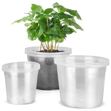 Imagem de DUNPUTE Vasos de berçário transparentes grandes com drenagem, pacote com 12 vasos de plástico para plantas, vasos de mudas ideais para vegetais, orquídeas, aloe, uso interno e externo (16 25 cm)