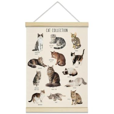 Imagem de rizotus Quadro educacional de cabide de raças de gatos, pôsteres de arte de parede de gatos de estimação para amantes de gatos, moldura de cabide para sala de estar, quarto, sala de aula, sala de