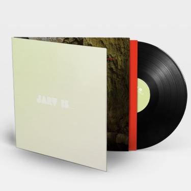 Imagem de Beyond the Pale [Disco de Vinil]