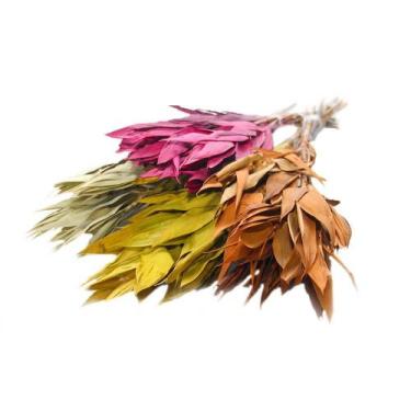 Imagem de Folha Navalha Capim Navalha Buque Flores Secas - Tem Flores