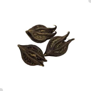 Imagem de Fava Garra de Pomba Gira Para Assentamento Ritual Religioso 1 Unidade 