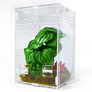 Imagem de Duedusto Gabinete de aranha saltadora de 15 x 15 x 25 cm, caixa de tarântula arbórea, gaiola de terrário de louva-a-deus para aranha saltadora, tarântula, louva-a-deus, caracol, isópodes, besouros